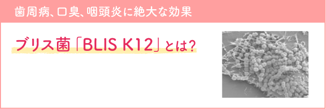 ブリス菌「BLIS K12」とは？