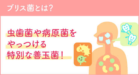 ブリス菌とは？虫歯菌や病原菌をやっつける特別な善玉菌！