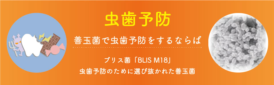 善玉菌で虫歯予防をするならば ブリス菌「BLIS M18」 虫歯予防のために選び抜かれた善玉菌