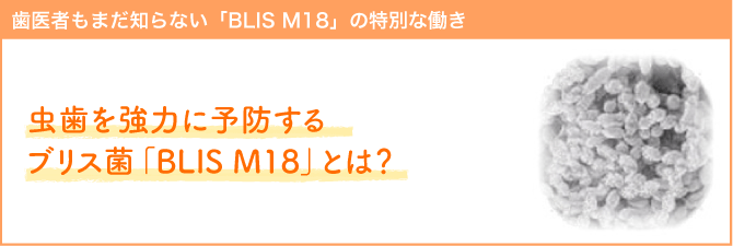 虫歯を強力に予防するブリス菌「BLIS M18」とは？