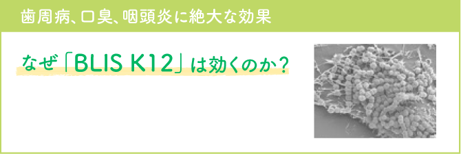 歯周病、口臭、咽頭炎に絶大な効果ブリス菌「BLIS K12」とは？