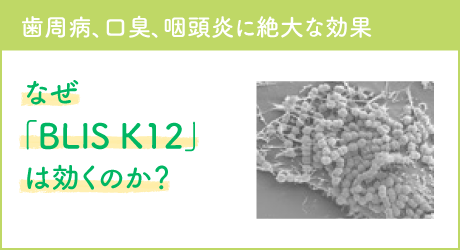 歯周病、口臭、咽頭炎に絶大な効果 なぜ「BLIS K12」は効くのか？