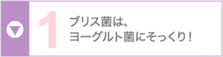 ブリス菌は、ヨーグルト菌にそっくり！