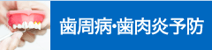 歯周病・歯肉炎予防